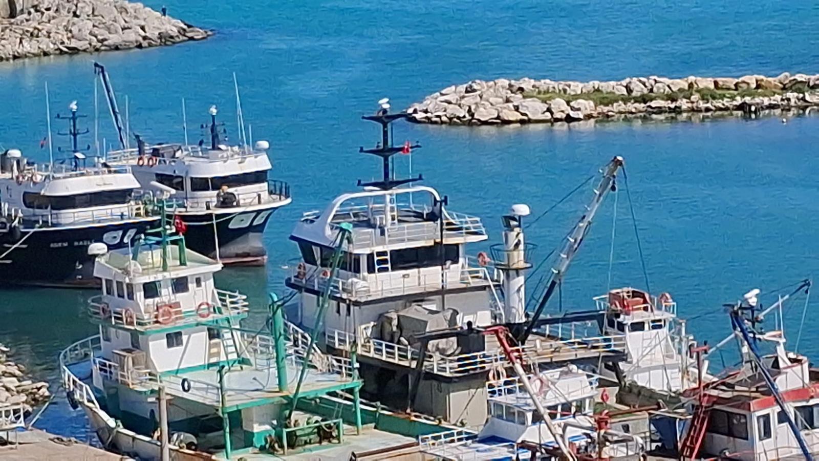Eko yürüyüş Topolovgrad ve Büyükkarıştıran çocuklarını sevindirdi  /  Еко разходка зарадва децата на Тополовград и Буюккаръщъран - Görsel 15